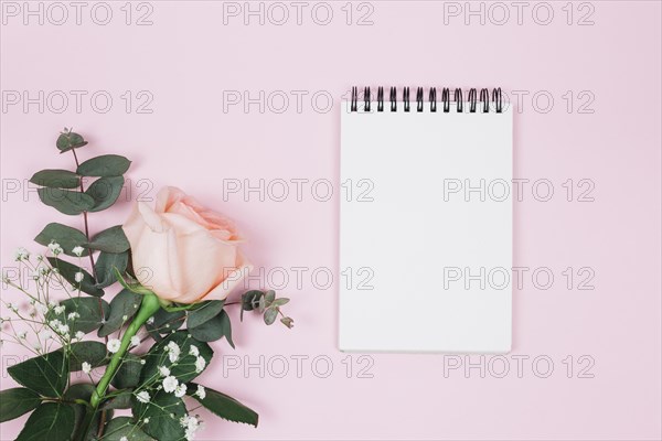 Blank spiral notepad with rose gypsophila flower against pink background