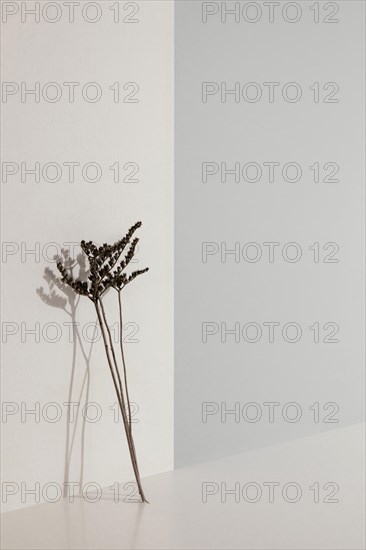 Abstract minimal plant leaning wall copy space