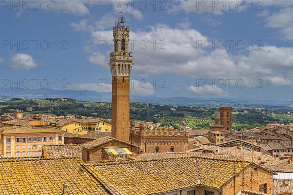 Above the rooftops of Siena with a view of the Torre del Mangia bell tower