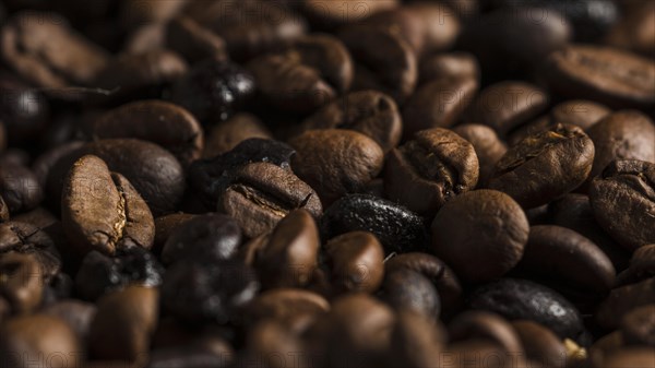 Aromatic coffee beans