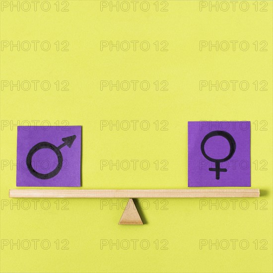 Blocks with gender symbols seesaw