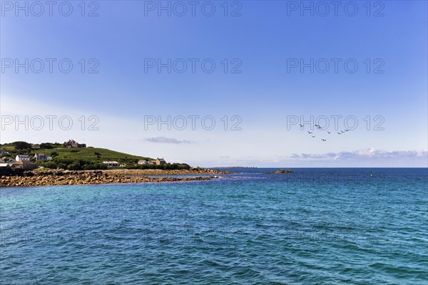 Coastline with castle