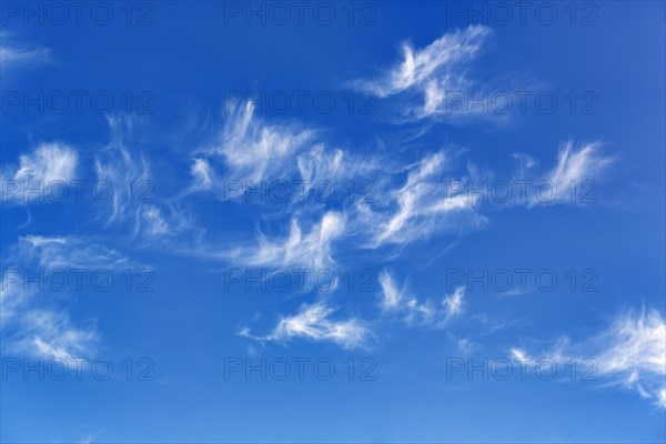 Feather Clouds