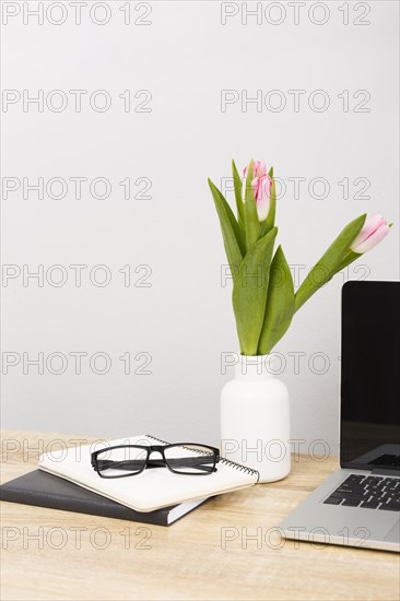 Front view glasses tulips
