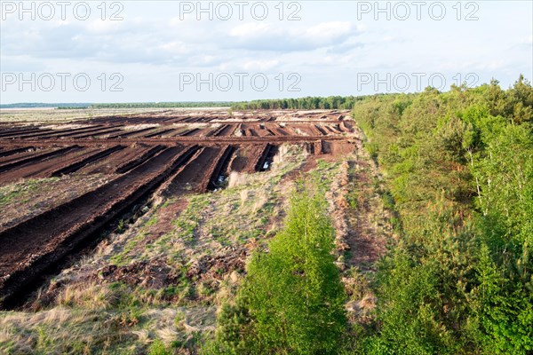 Peat extraction