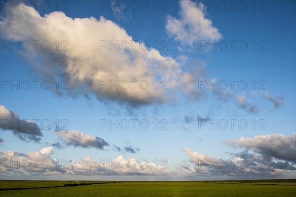 Fields and sky on the North Sea island of Terschelling