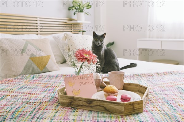 I love you mom inscription with gerbera tray