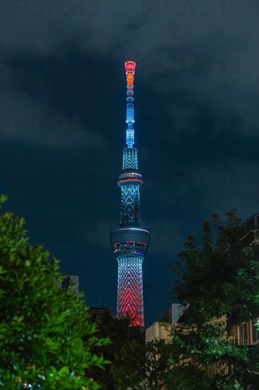 Tokyo Skytree illuminated at night