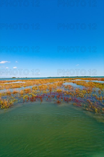 Venice Italy lagune view of the barena where the fresh water and sea water mix