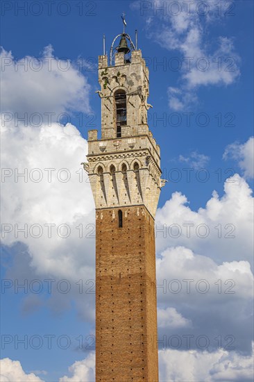 The bell tower Torre del Mangia