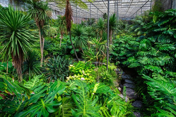 Interior view of the cold house Estufa Fria is a greenhouse with gardens