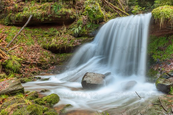 Beautiful fresh mountain waterfall in a wild and remote valley in winter. Vosges