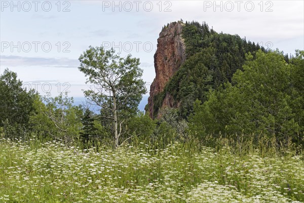 Steep cliff