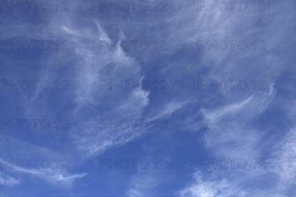 Cirrus clouds