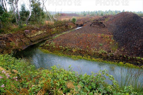 Peat cutting