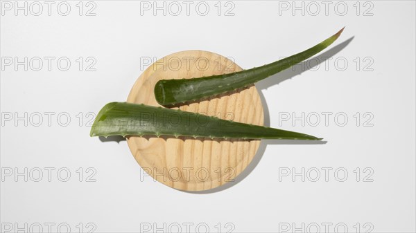 Top view aloe vera beauty concept