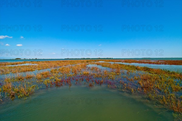 Venice Italy lagune view of the barena where the fresh water and sea water mix