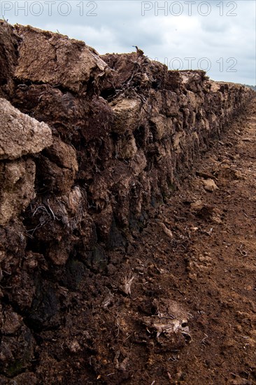 Peat cutting