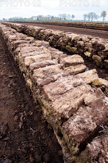 Peat cutting