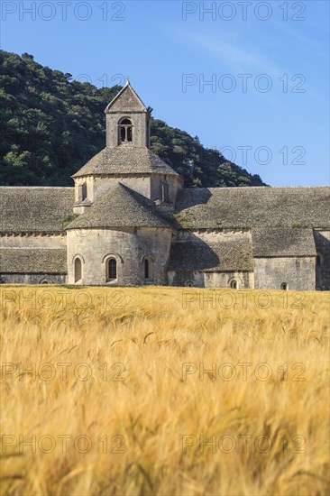 Abbey Notre-Dame de Senanque