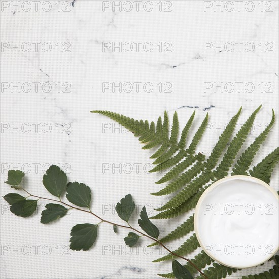 Close up view cream leaves marble background