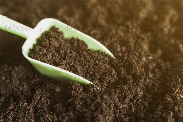 Green measuring scoop dark soil