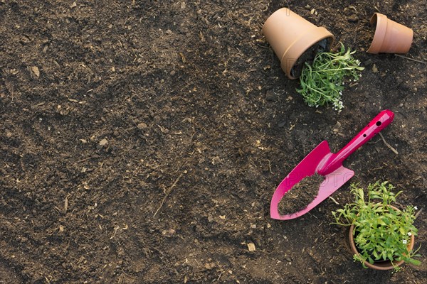 Spade with flowerpots ground