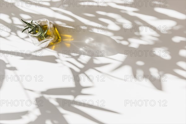 Sunlight rosemary herbs olive oil bottle white background