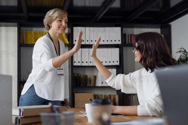 Medium shot business women high five