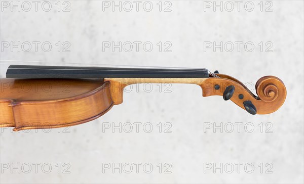 Side view violin