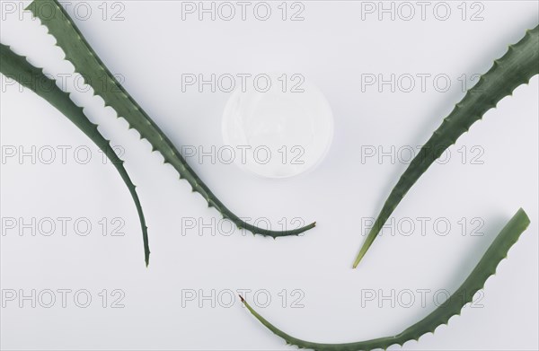 Top view aloe vera with beauty tools cosmetics