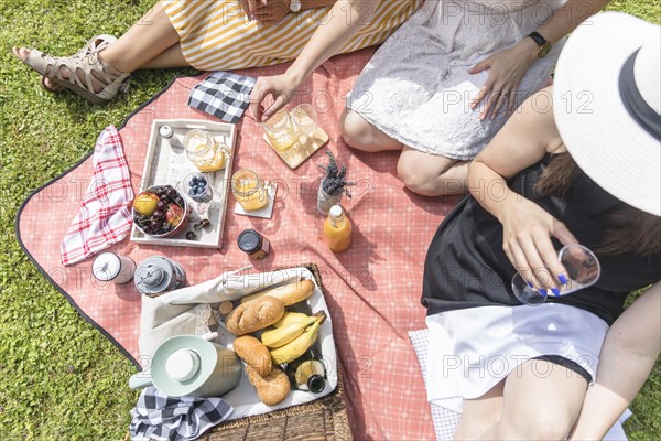 Overhead view female friends enjoying picnic
