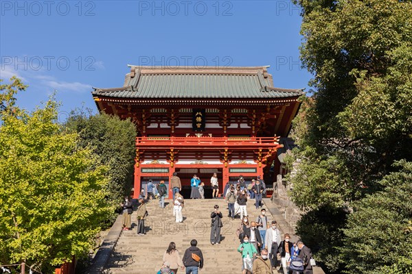 Main Hall of Tsurugaoka Hachiman-gu Shinto Shrine