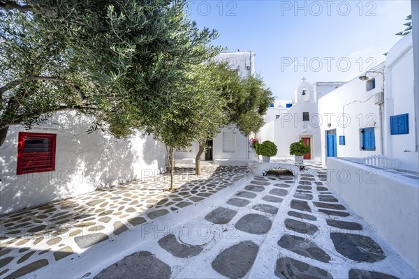 Cycladic white houses