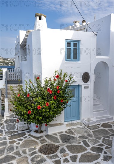 White Cycladic houses