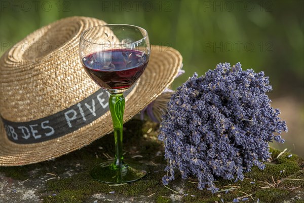 Still Life with Straw Hat