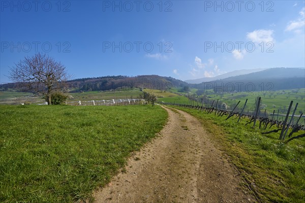 Field path