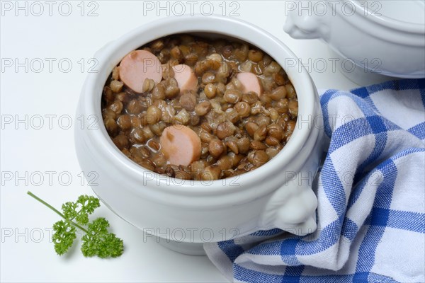 Lentil