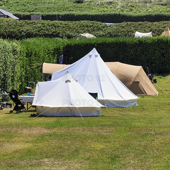 Tents in a meadow