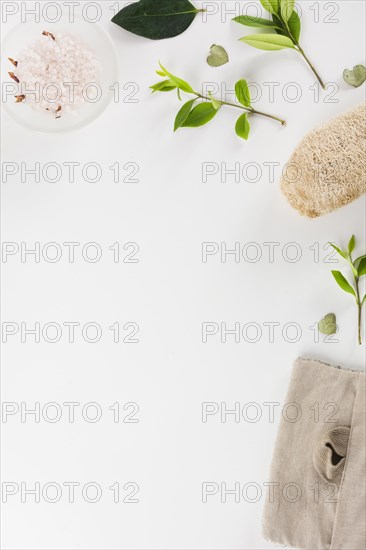 Bowl herbal salt leaves loofah isolated white background