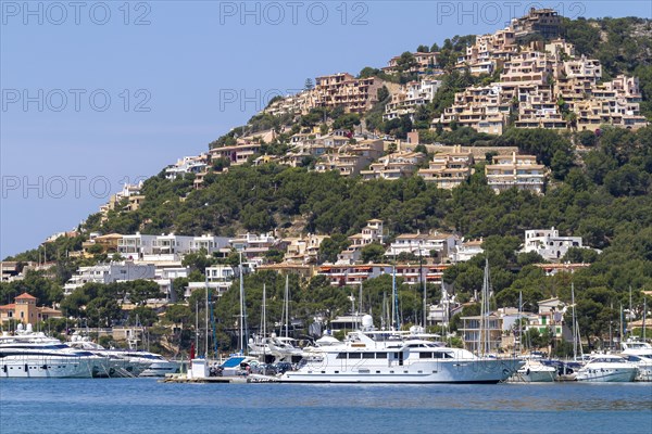 Yachts in the marina