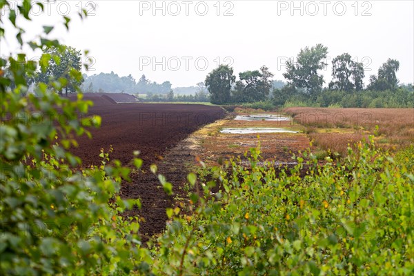 Peat cutting