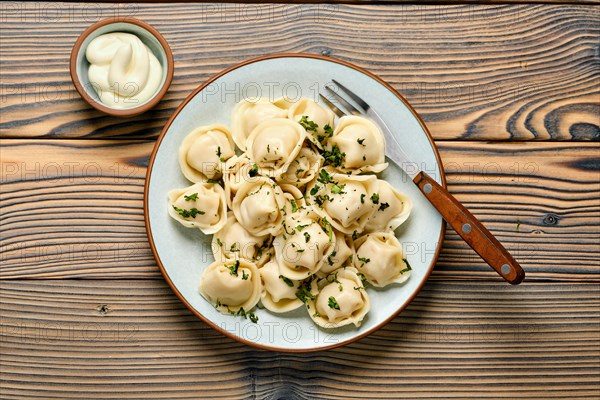 Top view of homemade meat dumplings