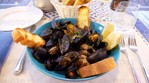 Mussels