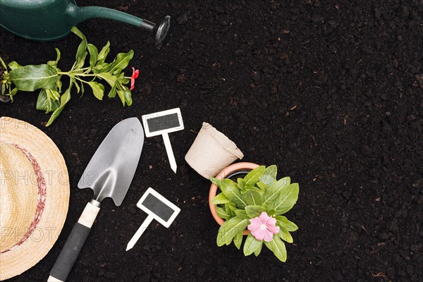 Top view gardening composition with copy space