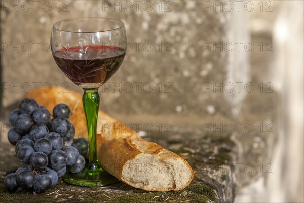 Still Life with Baguette