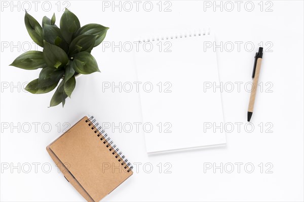High angle view spiral notepad diary potted plant pen white background