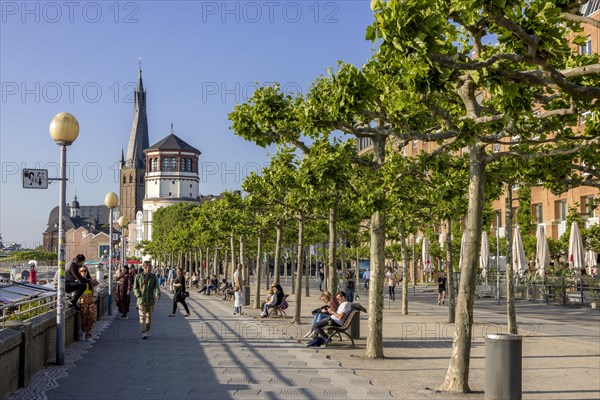 Rhine promenade