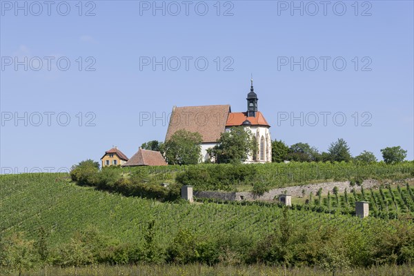 Pilgrimage church Maria im Weingarten