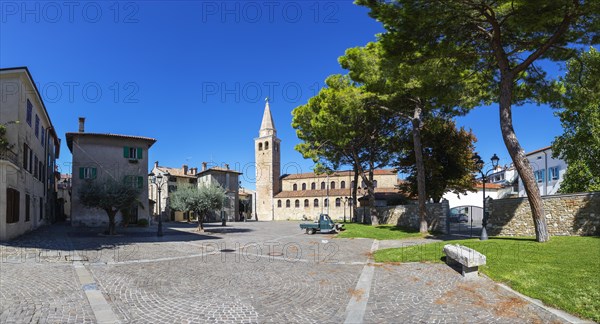 Olive trees at Campo Patriarca Elia with Basilica Sant Eufemia